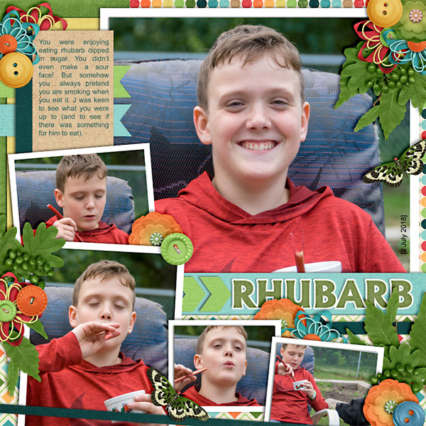 Rhubarb