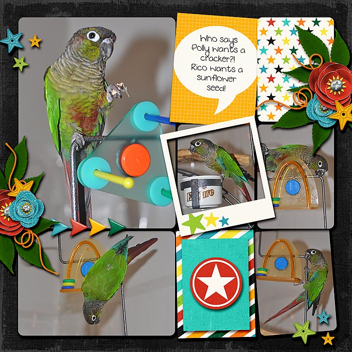 Rico
