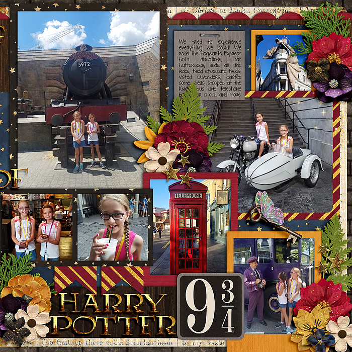 Right Side Wizarding World of Harry Potter