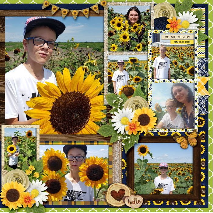 Right - Sunflower Festival