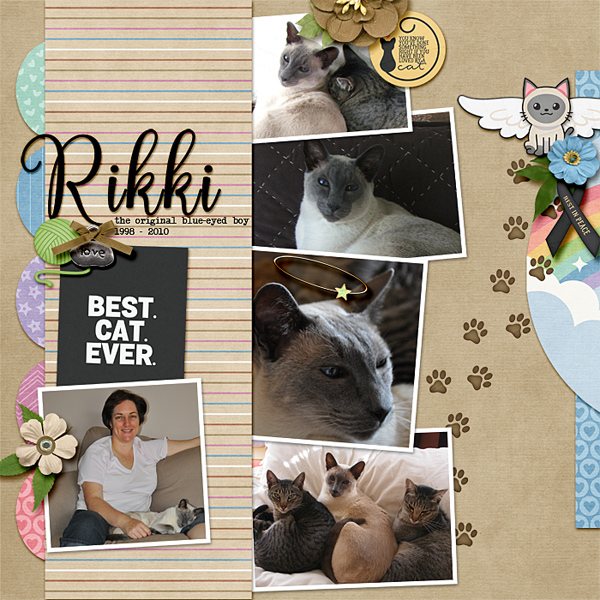 Rikki over the rainbow bridge