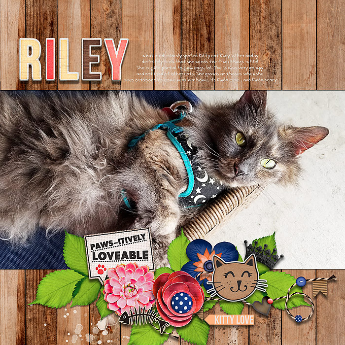 Riley
