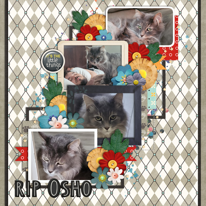 RIP Osho