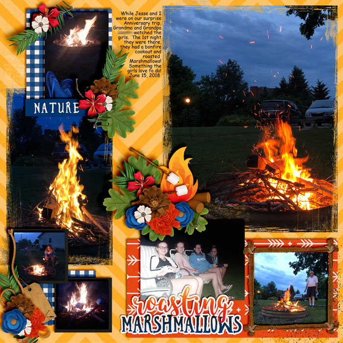 Roasting Marshmallows