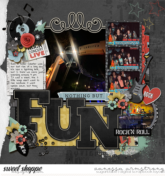 Rock n' Roller Coaster