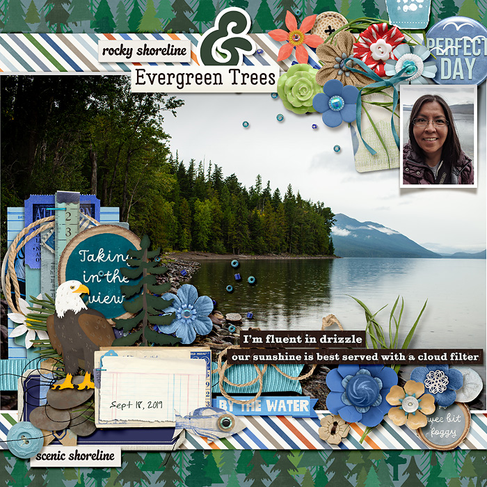 Rocky Shoreline & Evergreen Trees