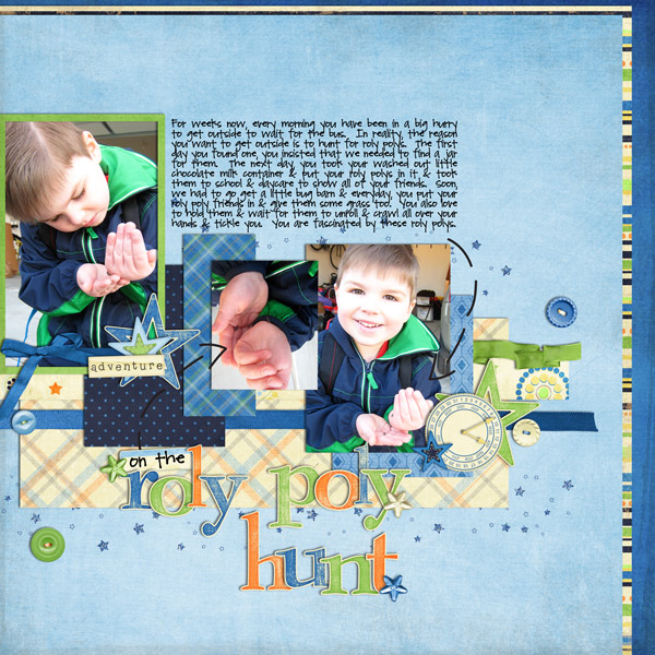Roly Poly Hunt