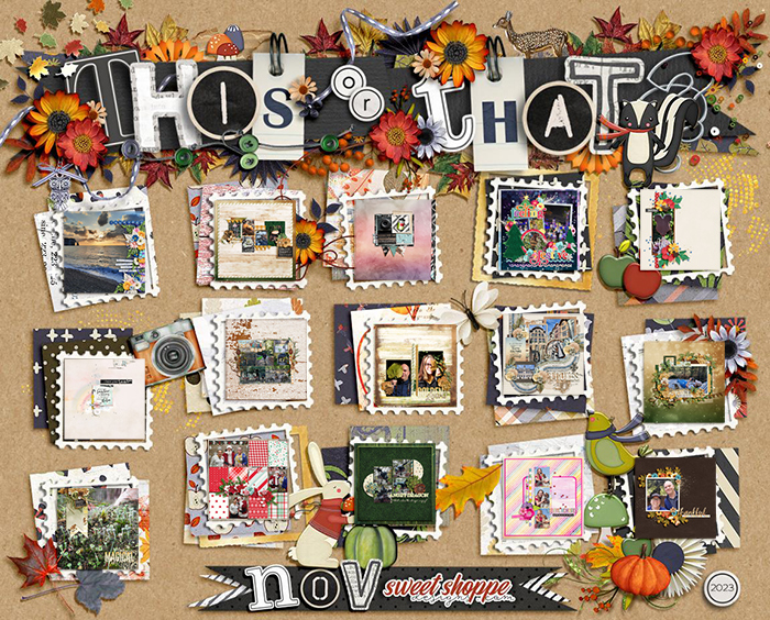 Romajo's November Tracker