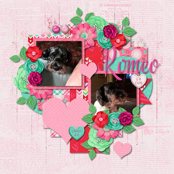 Romeo