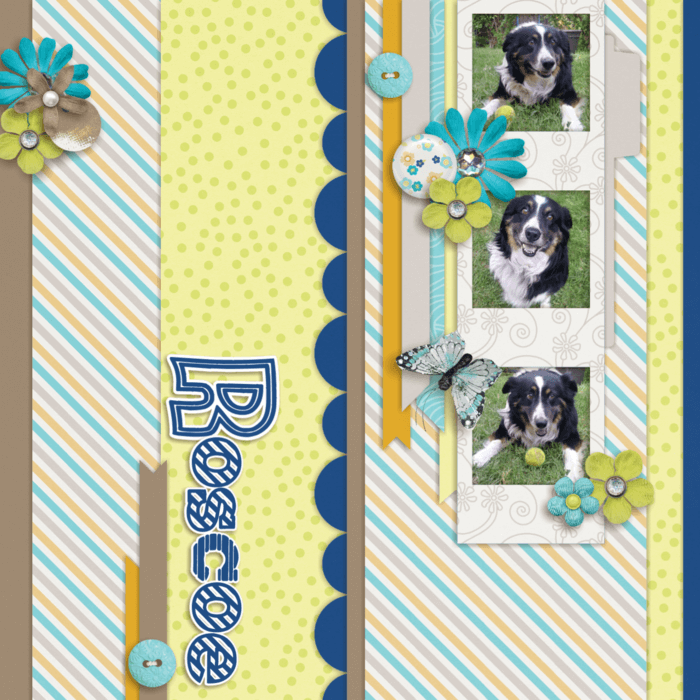 Roscoe little photos