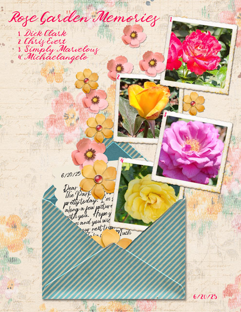 Rose Garden Memories