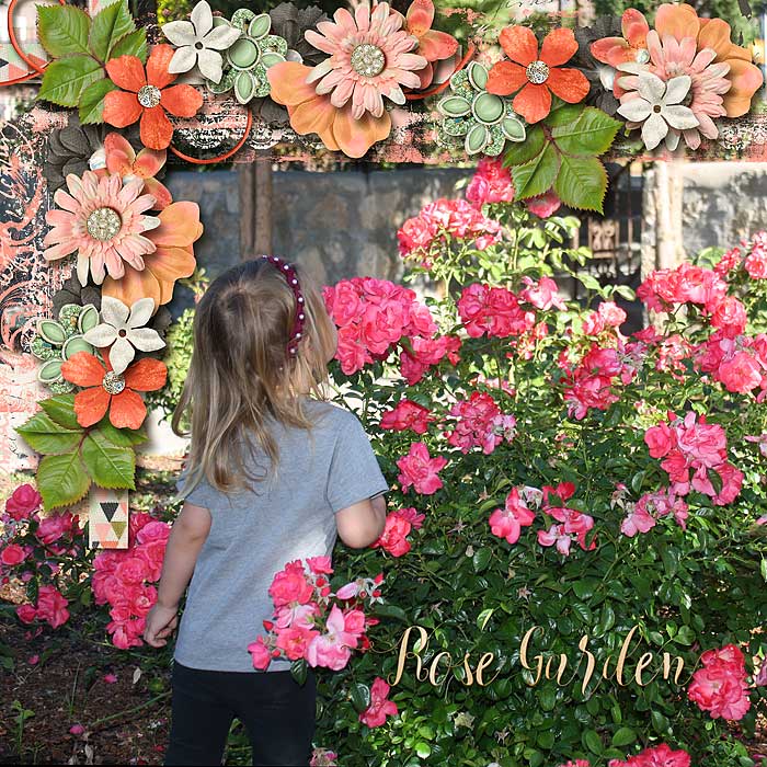 Rose Garden