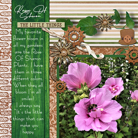 Rose Of Sharon
