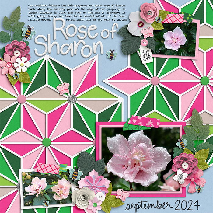 Rose of Sharon