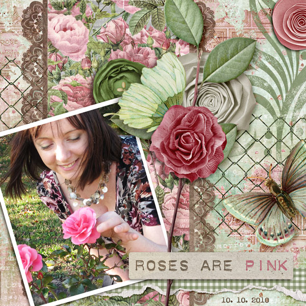 Roses are pink