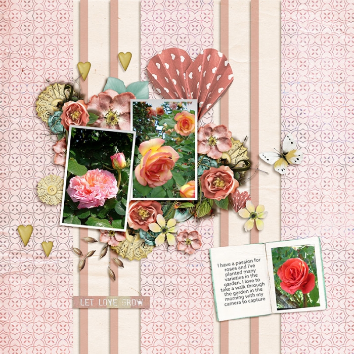 Roses