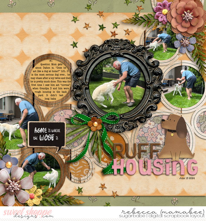 Ruff Housing