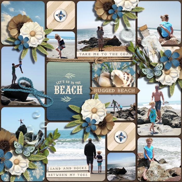 Rugged Beach