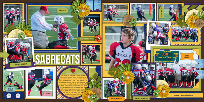 Sabrecats (football)