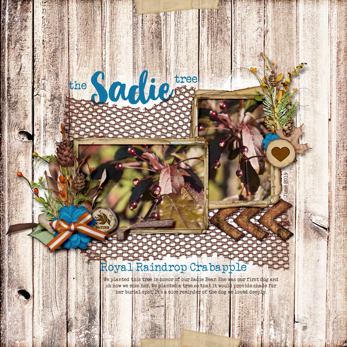 Sadie Tree