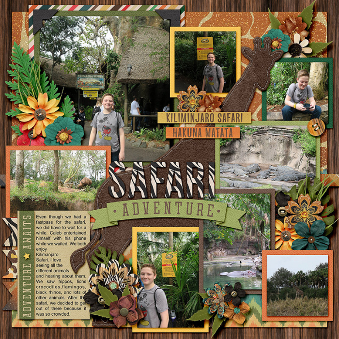 Safari Adventure
