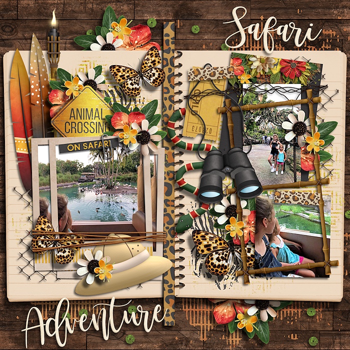 Safari Adventure