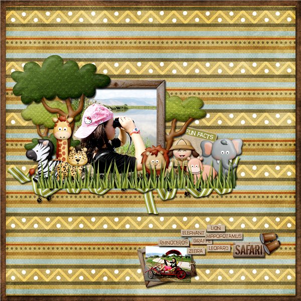 Safari Adventures