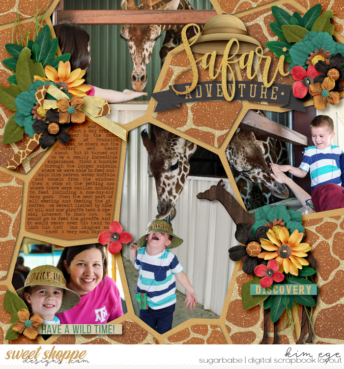 Safari Advventure