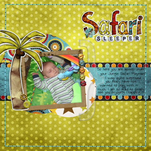 Safari Sleeper