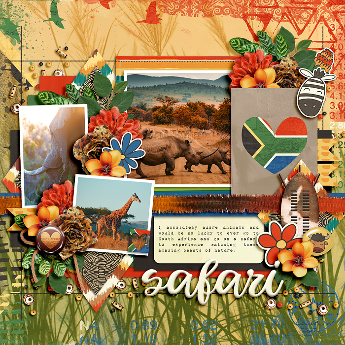 Safari