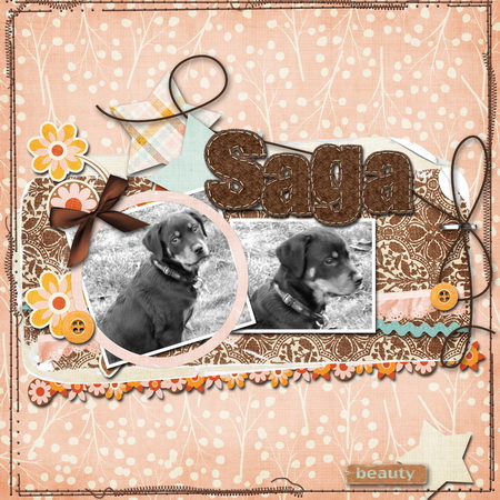 Saga