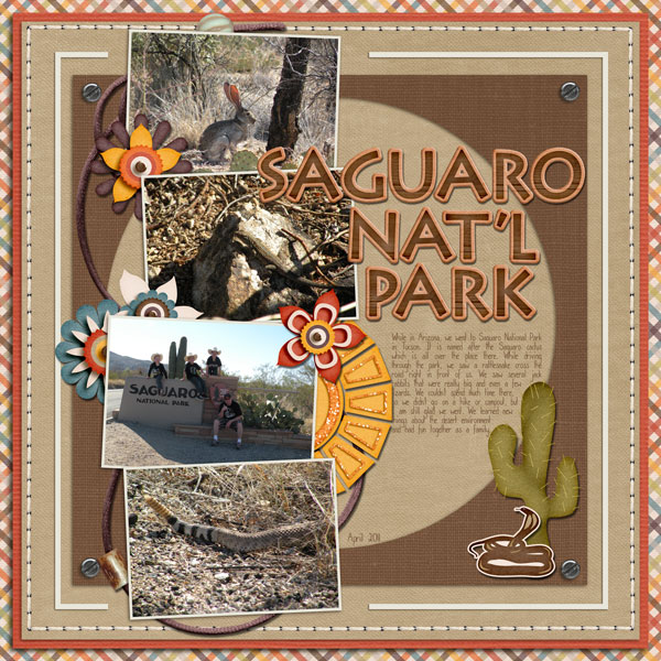 saguaro natl park