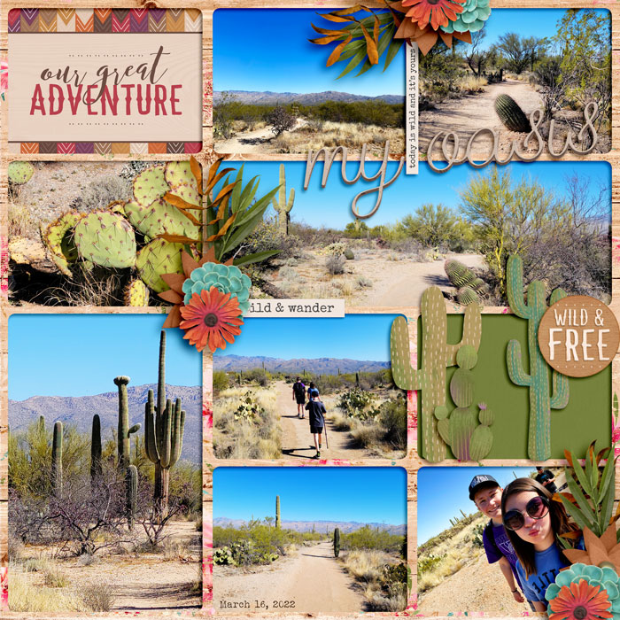 Saguaro NP Hike 0322