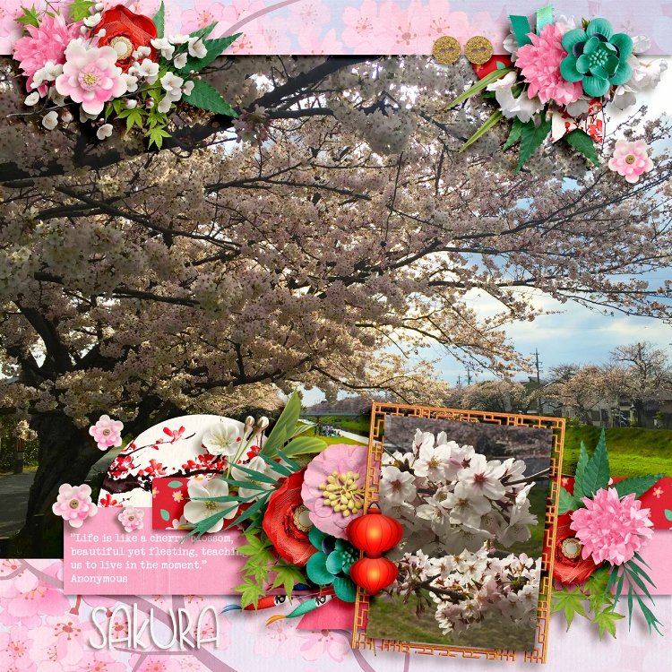 Sakura