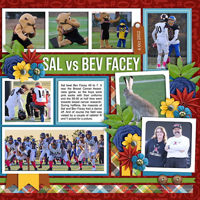 Sal vs BF