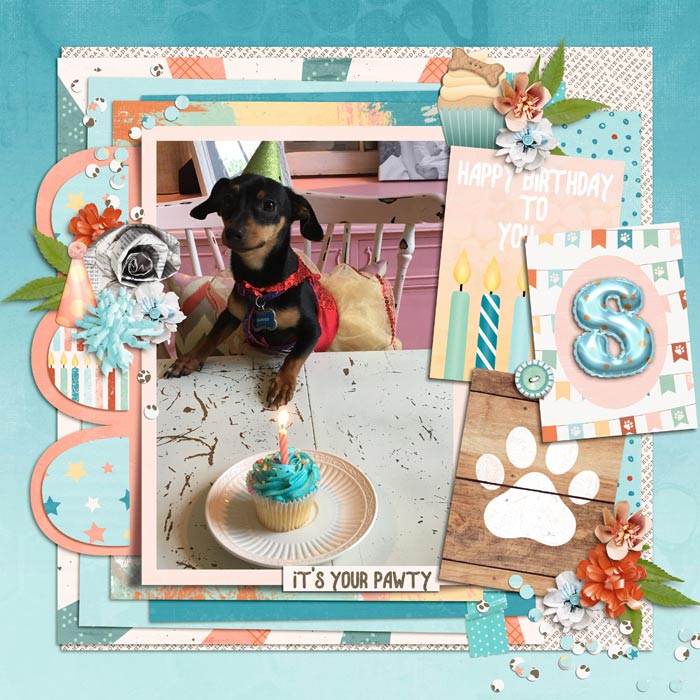 Sammie's Pawty
