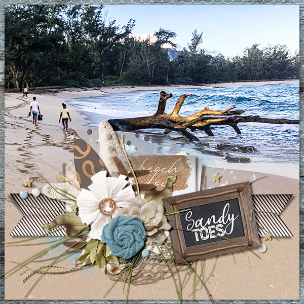 Sandy Toes_North Shore, HI