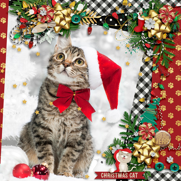 Santa Paws & Mrs Claws