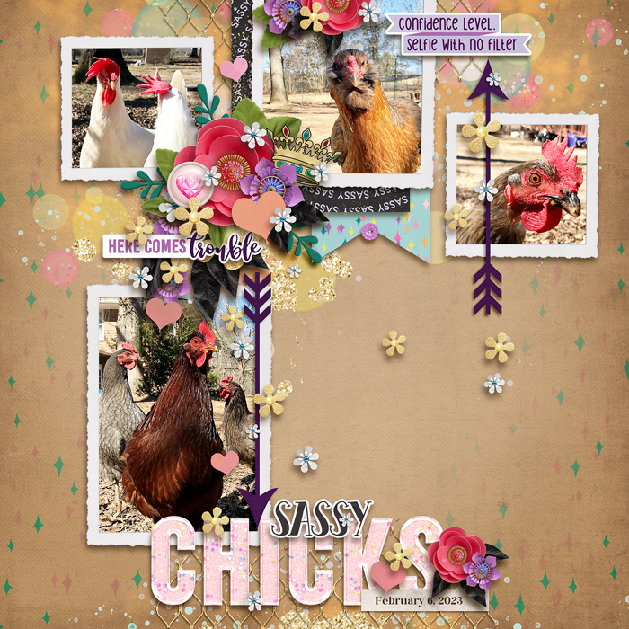 Sassy Chicks