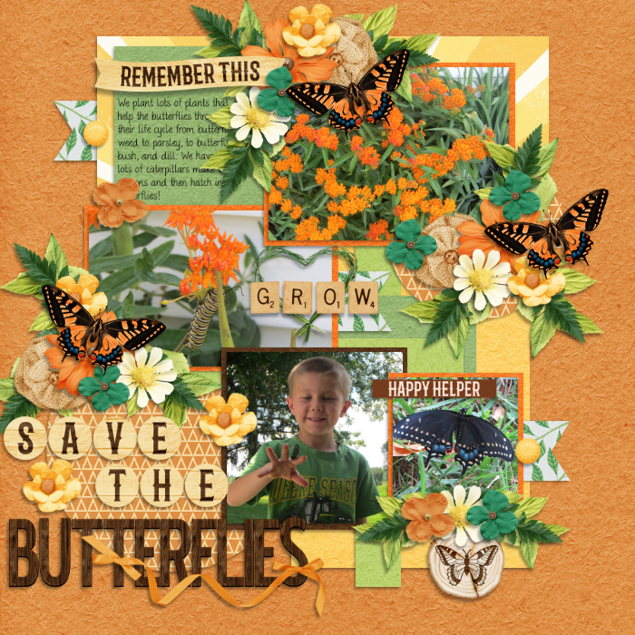 Save the Butterflies