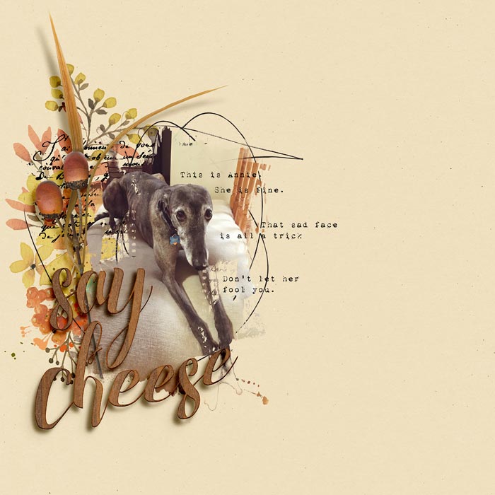 Say Cheese - Color Challenge