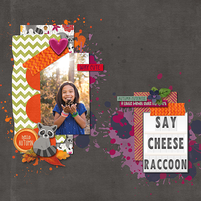 Say Cheese Raccoon