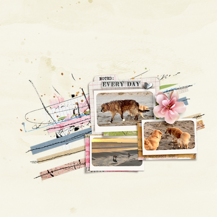 sbasic-ccinventoryofme-tracy