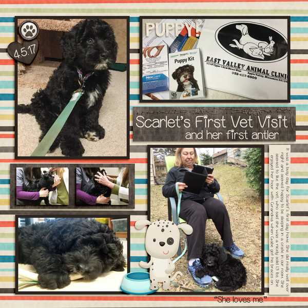 Scarlet Goes to the Vet