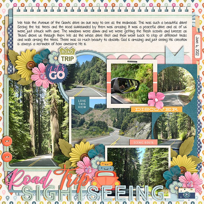 Scenic Drive