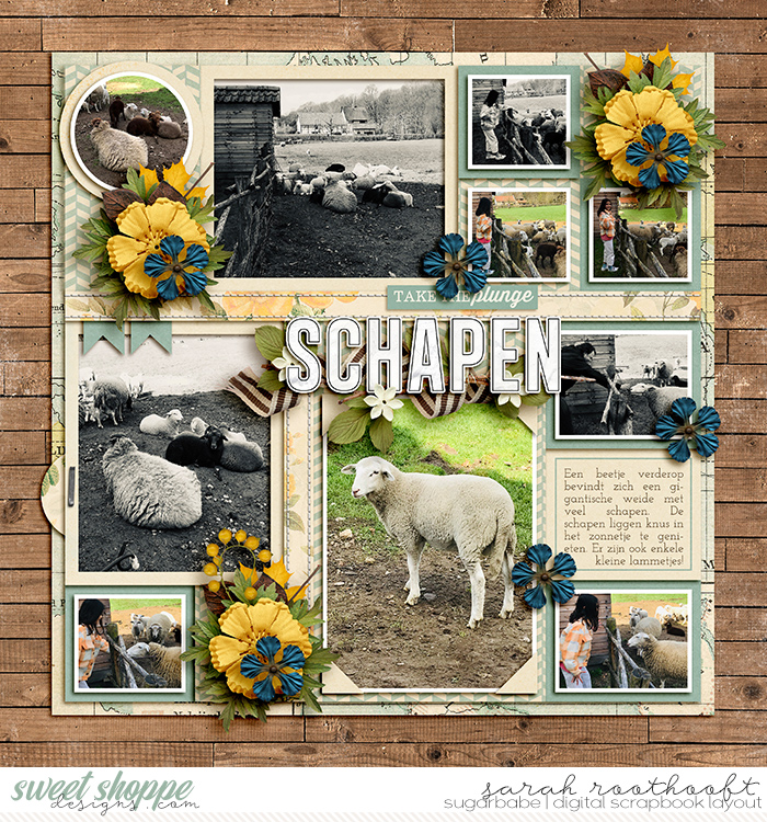 Schapen