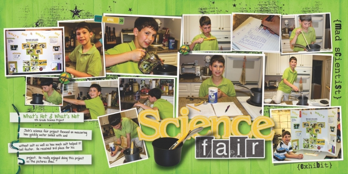 Science Fair