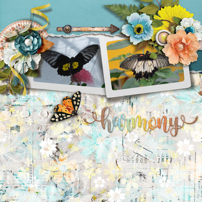 Scrap Your Heart Out, Template challenge