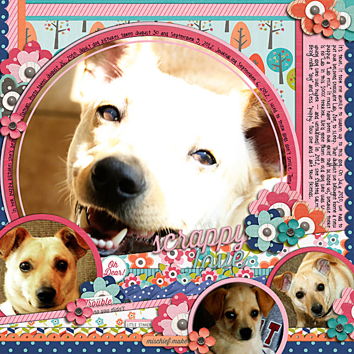 scrappy love