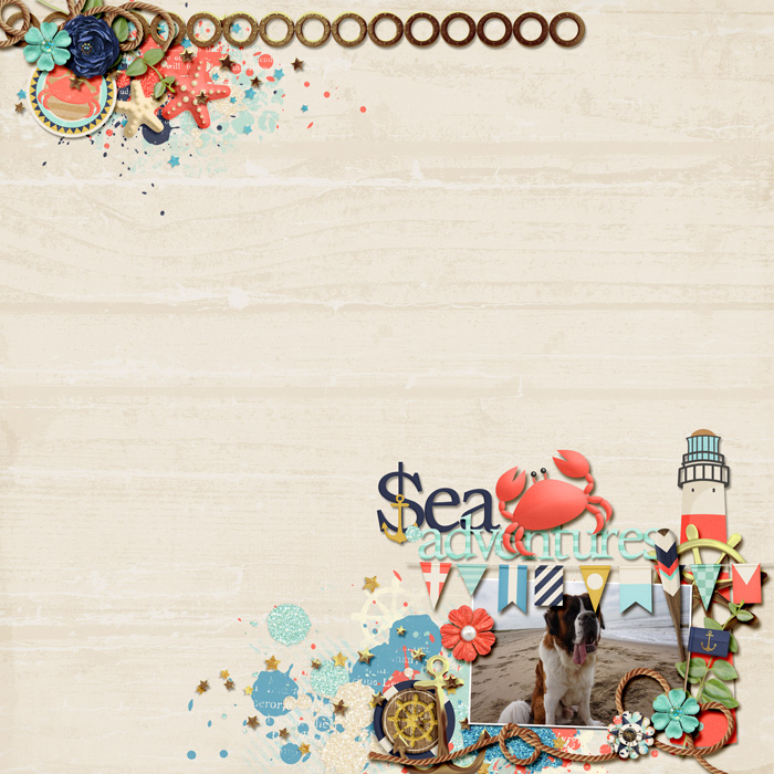 Sea adventures.